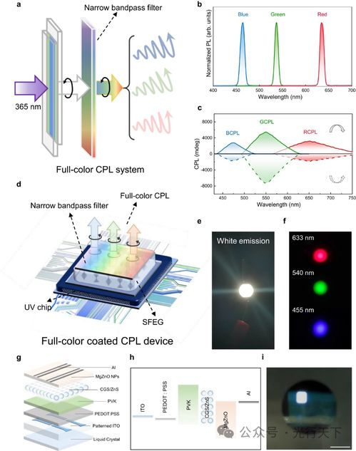 單發(fā)射全彩圓偏振發(fā)光結(jié)構(gòu)與器件的研究進(jìn)展